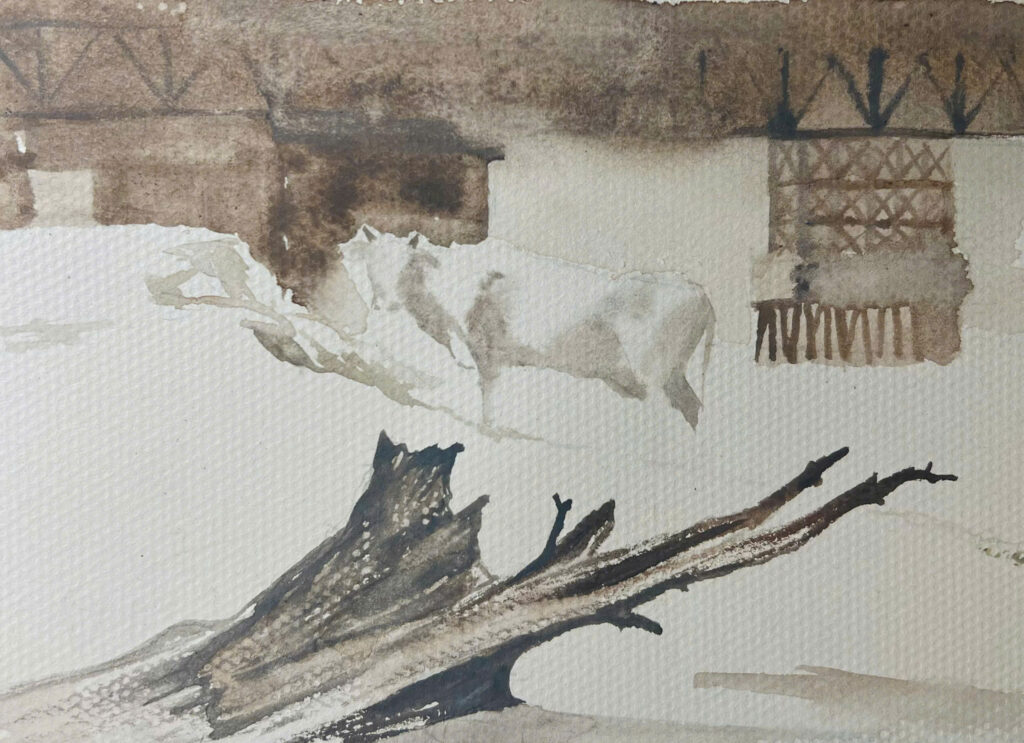 Con bò dưới sông